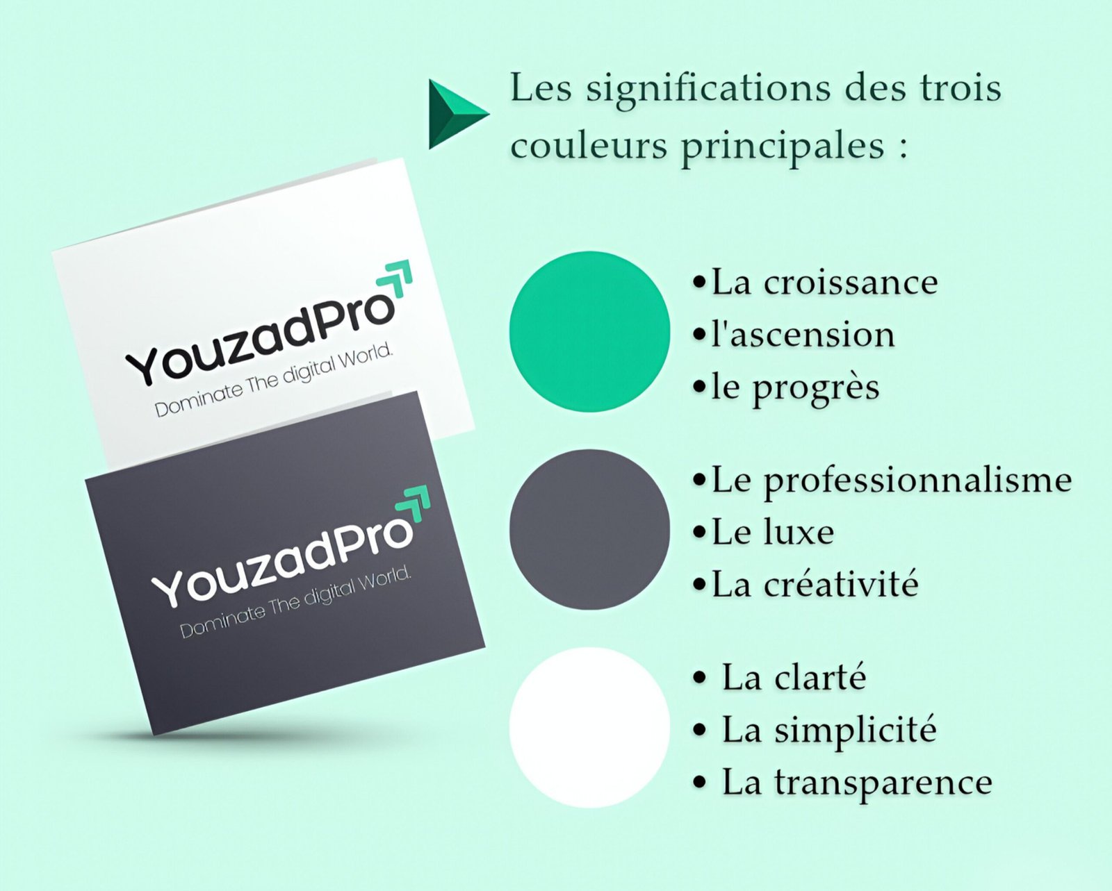 Couleurs principales de l’identité visuelle YouzadPro : vert pour la croissance et le progrès, gris foncé pour le professionnalisme et la créativité, blanc pour la clarté et la transparence.