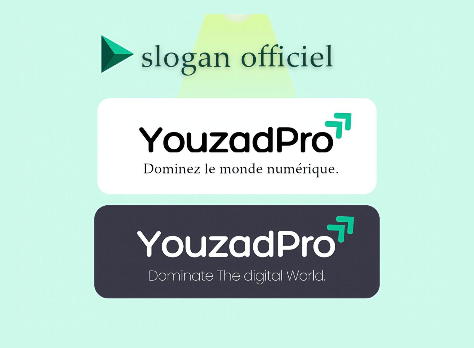 Logo YouzadPro avec slogan en français et anglais : Dominez le monde numérique.